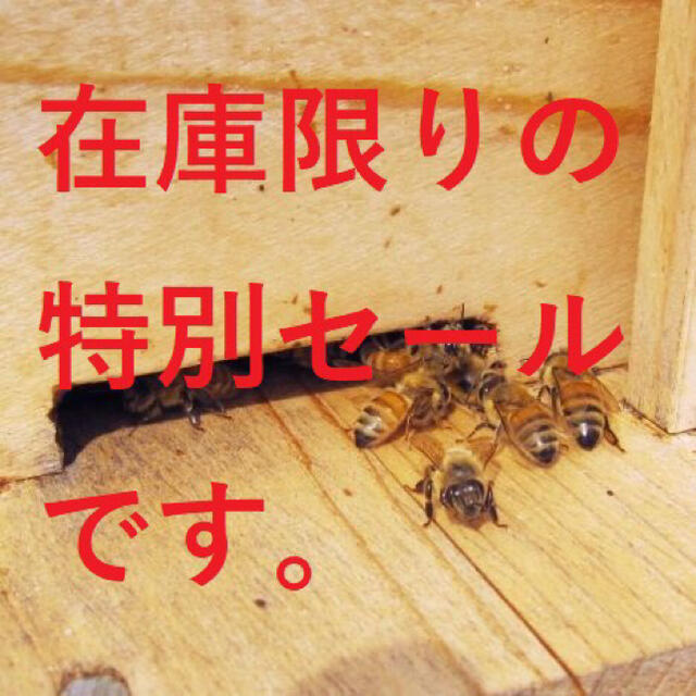 セール【非加熱・生はちみつ】4種セット・500g×4(4本) 1