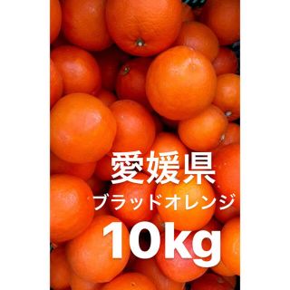 愛媛県　ブラッドオレンジ　10kg(フルーツ)