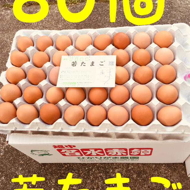 80個　若たまご　卵掛けご飯　生2週間　加熱1ヶ月　北海道*沖縄追加送料