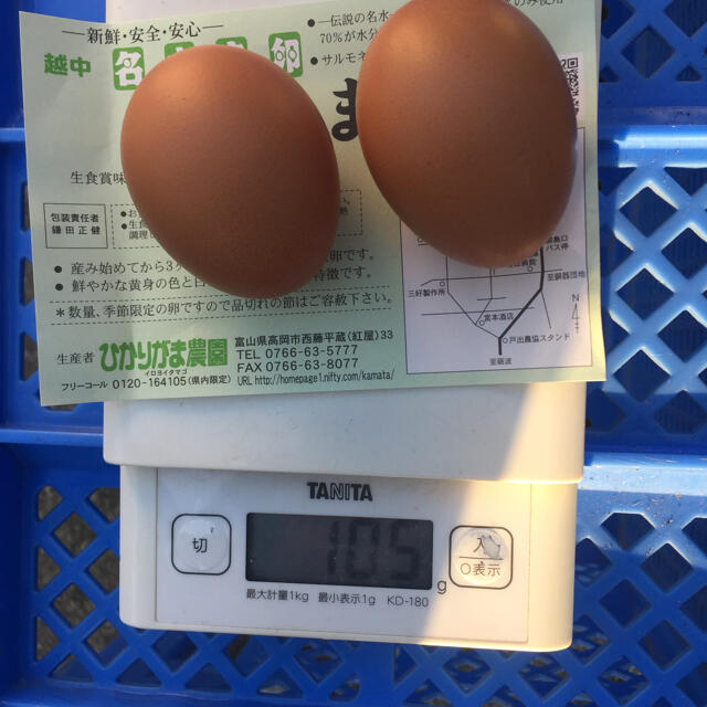 80個　若たまご　卵掛けご飯　生2週間　加熱1ヶ月　北海道*沖縄追加送料