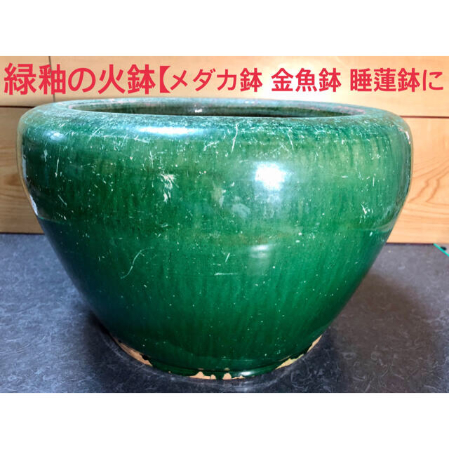 緑釉の火鉢 【メダカ鉢、金魚鉢、睡蓮鉢に‼️】