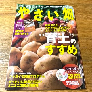 やさい畑 2021年 02月号(趣味/スポーツ)