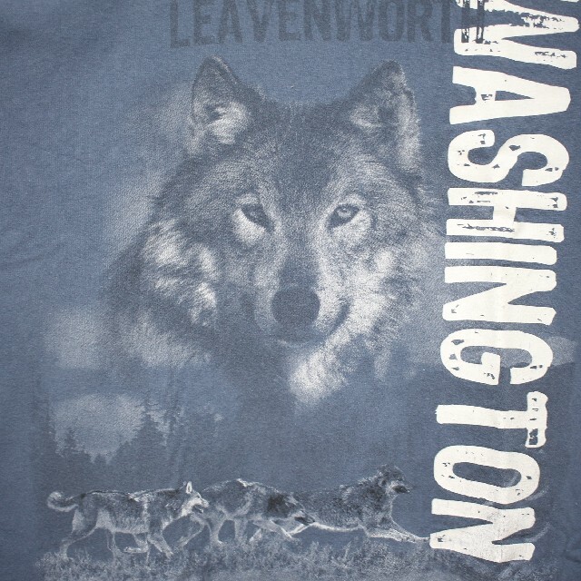 Anvil(アンビル)のanvil ウルフ　狼　オオカミ　Ｔシャツ　ゆるだぼ女子　アニマルプリント メンズのトップス(Tシャツ/カットソー(半袖/袖なし))の商品写真