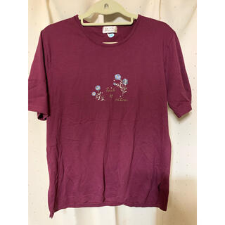Tシャツ　M〜Lサイズ(Tシャツ/カットソー(半袖/袖なし))