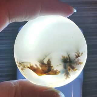 ピクチャーアゲート　デンドリティックアゲート　瑪瑙ルース(各種パーツ)