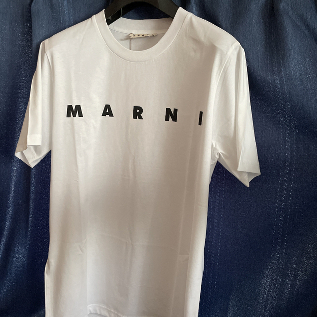 MARNI マルニ　M オーガニックジャージー Tシャツ ショートスリーブ