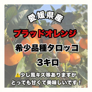 【愛媛県産】希少品種タロッコ3キロ【ブラッドオレンジ】(フルーツ)