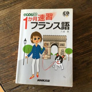 1か月速習フランス語(語学/参考書)