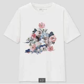 ユニクロ(UNIQLO)のユニクロ Paul & JOEコラボTシャツ(Tシャツ(半袖/袖なし))