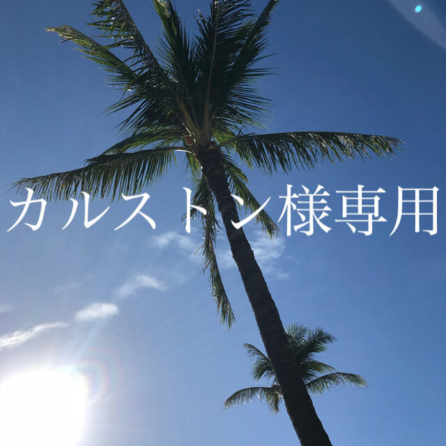 見事な カルストン様専用 化粧下地 見事な カルストン様専用 化粧下地