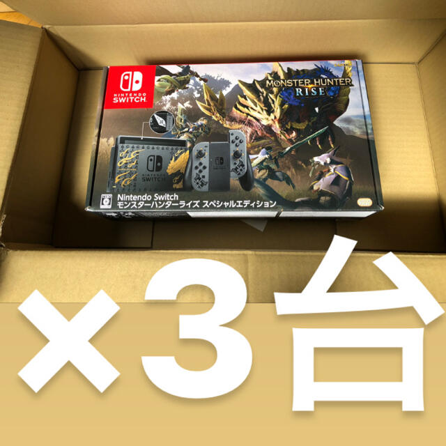 年中無休】 Nintendo Switch モンハンライズ スペシャルエディション