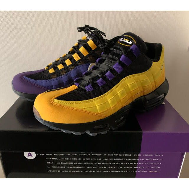 nike air max 95 エアマックス　lebron レブロン