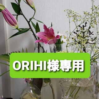 ORIHI様専用NHK 趣味の園芸 やさいの時間 2020年 02月号(専門誌)