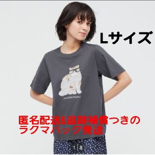 ユニクロ(UNIQLO)のユニクロ ポール&ジョー グラフィックTシャツLサイズネコ　メガネ(Tシャツ(半袖/袖なし))