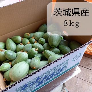 茨城県産　イバラキング摘果メロン　8㎏(野菜)