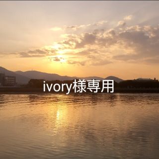 メナード(MENARD)のivory様専用(その他)