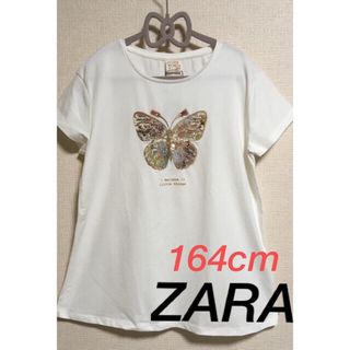 ザラ(ZARA)の▶︎◀︎24時間以内に発送可▶︎◀︎164cm zara 蝶々Tシャツ白▶︎◀︎(Tシャツ/カットソー)