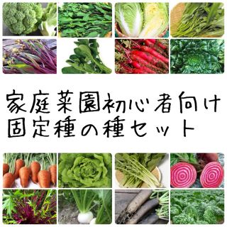 ★伝統野菜★家庭菜園初心者向け固定種の種セット(野菜)