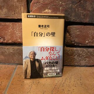 「自分」の壁(文学/小説)