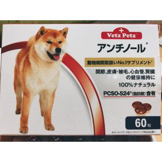 アンチノール　犬用　　49カプセル　Vetz Petz(犬)