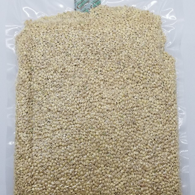 お気に入り 熊本県産 令和4年新米100% 発芽玄米 5kg ヒノヒカリ れんげ
