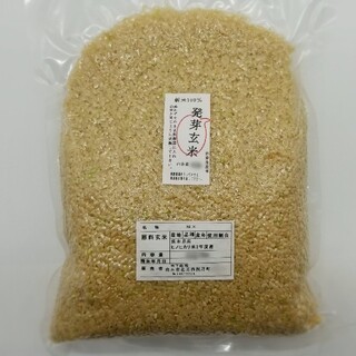 熊本県産　新米100%　発芽玄米　900g ヒノヒカリ　れんげ米(米/穀物)