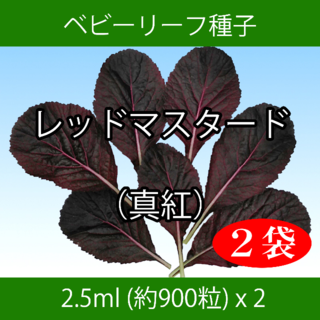 ベビーリーフ種子 B-48 レッドマスタード（真紅） 2.5ml x 2袋(野菜)