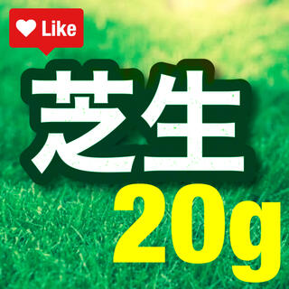 【説明書つき】高級芝生 の種 20g（0.4平米) 西洋芝生(その他)