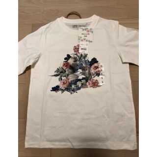 ユニクロ(UNIQLO)のユニクロxポール&ジョー UT  Sサイズ(Tシャツ(半袖/袖なし))