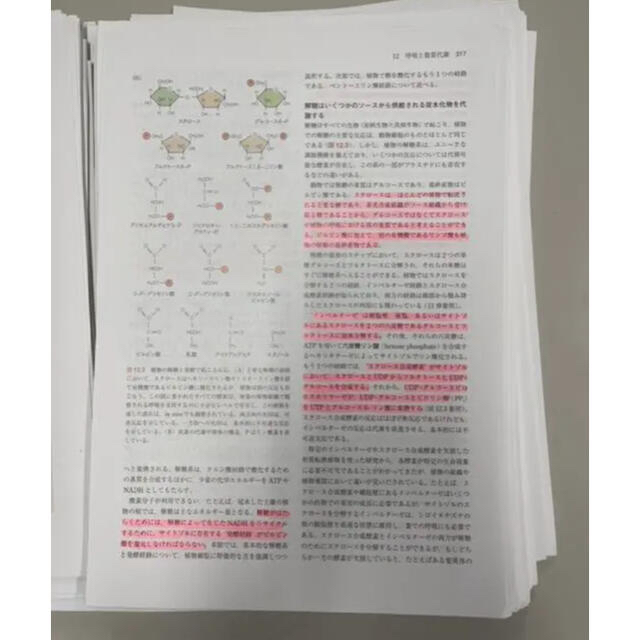 【裁断済】 テイツ/ザイガー 植物生理学・発生学 原著 第6版