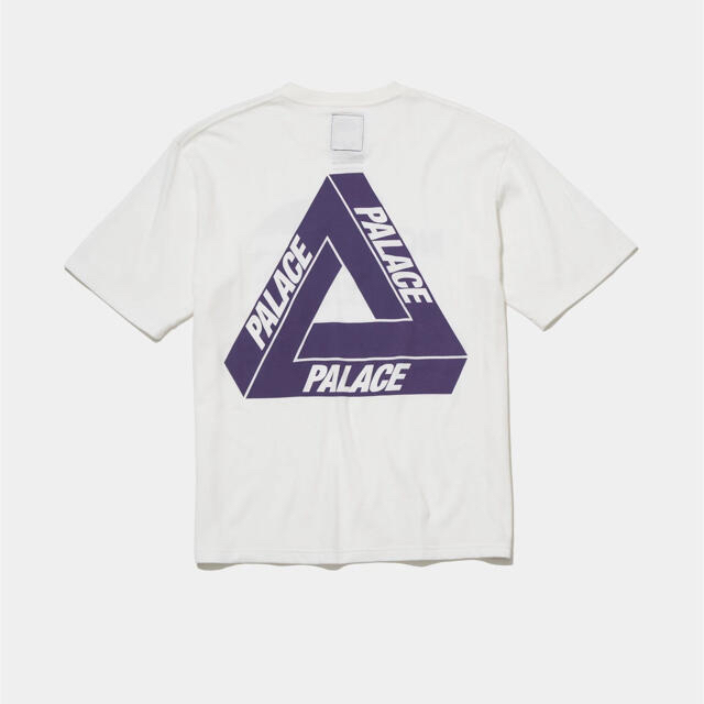 PALACE SKATE THE NORTH FACE PURPLE LABEL