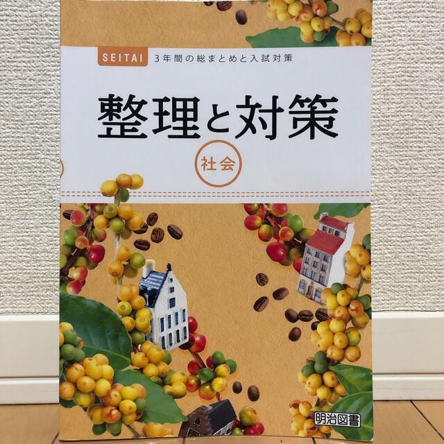 整理と対策　社会 エンタメ/ホビーの本(語学/参考書)の商品写真