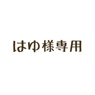 はゆ様専用(その他)