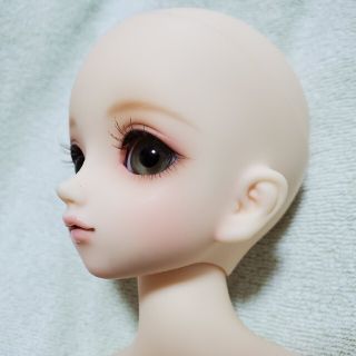 スーパードルフィー　sdm　白蓮(その他)