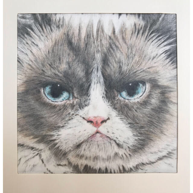 都内で 不機嫌な猫 色鉛筆画 絵画+タペストリー - traama.com.br