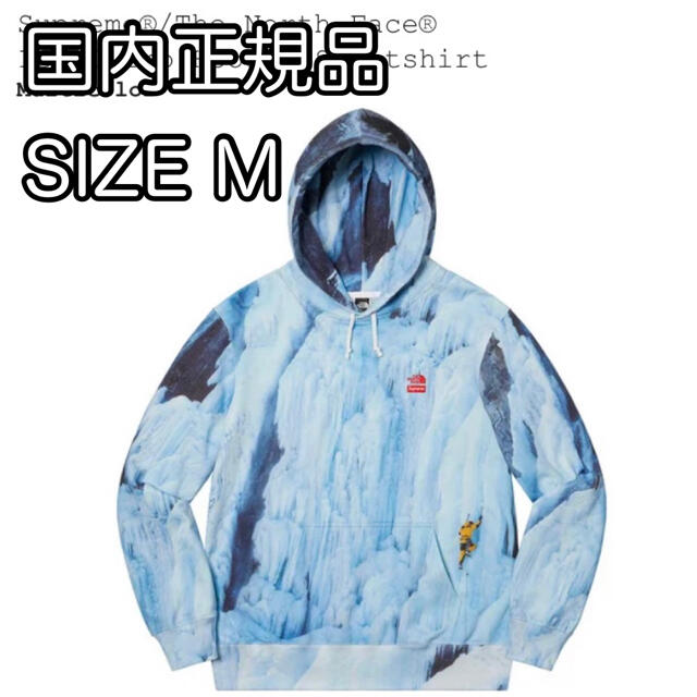 MulticolorSIZESupreme The North Face Ice Climb Hooded