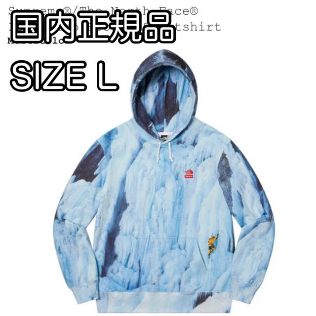 MulticolorSIZESupreme The North Face Ice Climb Hooded