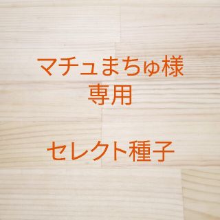 マチュまちゅ様専用　セレクト種子18袋(野菜)