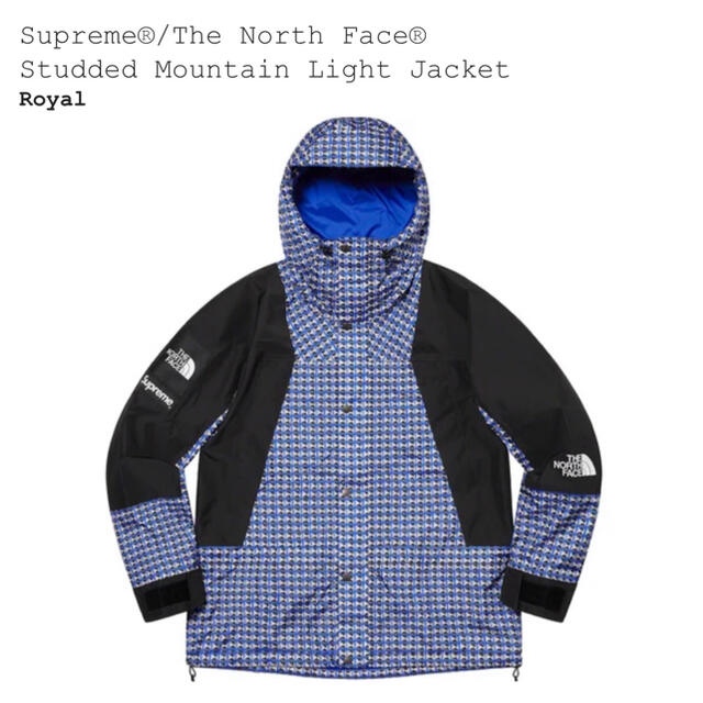 supreme the north face  Mountain Jacket
