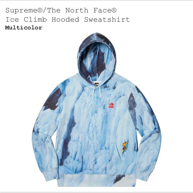 supreme north face foodie