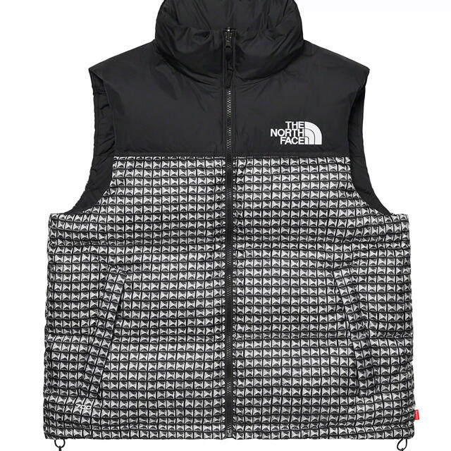 L 21SS Supreme The North Face Studded N