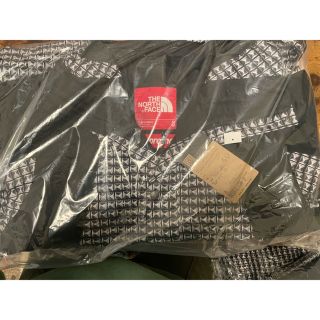 シュプリーム(Supreme)のsupreme the north face mountain M(マウンテンパーカー)