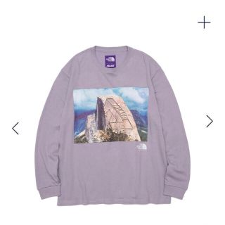 ザノースフェイス(THE NORTH FACE)のPALACE SKATE THE NORTH FACE PURPLE LABEL(Tシャツ/カットソー(七分/長袖))