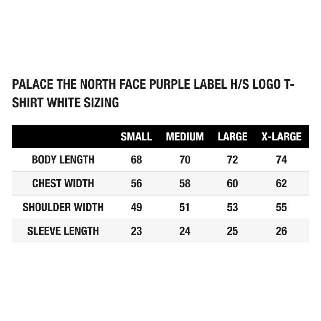 PALACE NORTH FACE PURPLE LABEL Logo Tee | www.jarussi.com.br