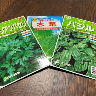 クリムソン30g&大葉100粒、バジル30粒、イタリアンパセリ30粒。(野菜)