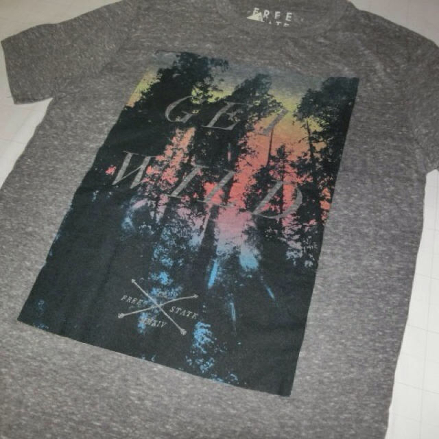 AEROPOSTALE(エアロポステール)のUSA購入【AEROPOSTALE】【get wild】プリントT US XS灰 メンズのトップス(Tシャツ/カットソー(半袖/袖なし))の商品写真