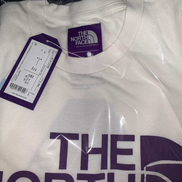 PALACE SKATE THE NORTH FACE PURPLE LABEL