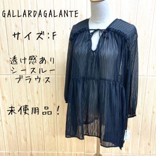 ガリャルダガランテ(GALLARDA GALANTE)の【GALLARDAGALANTE】ブラウス(F) シースルー　ストライプ　黒(シャツ/ブラウス(長袖/七分))