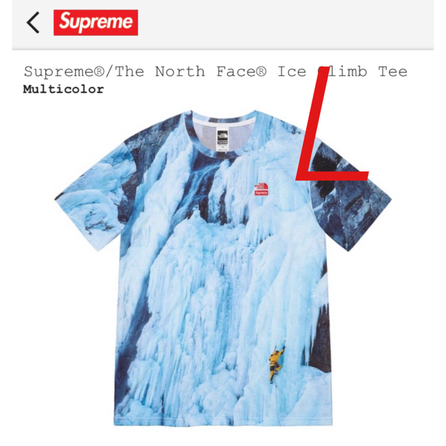 Supreme(シュプリーム)のSupreme®/The North Face® Ice Climb Tee メンズのトップス(Tシャツ/カットソー(半袖/袖なし))の商品写真