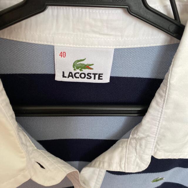 LACOSTE(ラコステ)のラコステレディース　ポロシャツ　 レディースのトップス(シャツ/ブラウス(半袖/袖なし))の商品写真